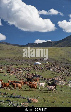 Mongolische Landschaft mit Bergsteppe unter fliessenden Kumuluswolken am blauen Himmel, Jurten und Ziegenherden. Natürliche Berggrenze Tsagduult, westlich Stockfoto