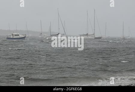 Maine, Usa. August 2021. Boote rocken im Meer während des Hans Henri. (Foto von Aimee Dilger/ SOPA Images/Sipa USA) Quelle: SIPA USA/Alamy Live News Stockfoto