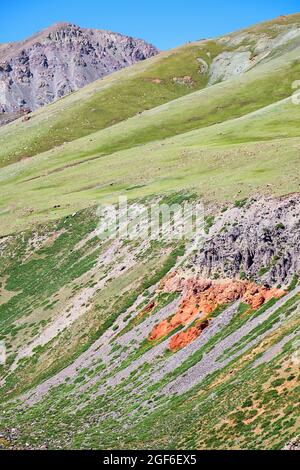 Ziegen und Schafe grasen an den Bergsteppenwiesen in der natürlichen Berggrenze Tsagduult, der westlichen Mongolei Stockfoto