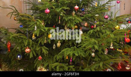 Eine Nahaufnahme eines großen Weihnachtsbaums in einem Wohnzimmer mit Tier- und Märchen-Weihnachtsbaumschmuck, schönen hellen Glaskugeln A dekoriert Stockfoto