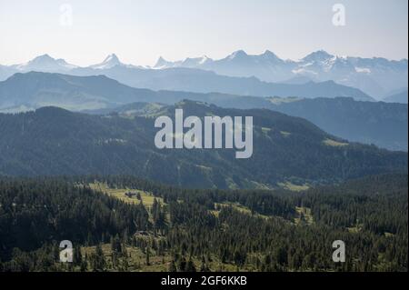 Blick vom Trogenhorn im Emmental auf die Berner Alpen Stockfoto