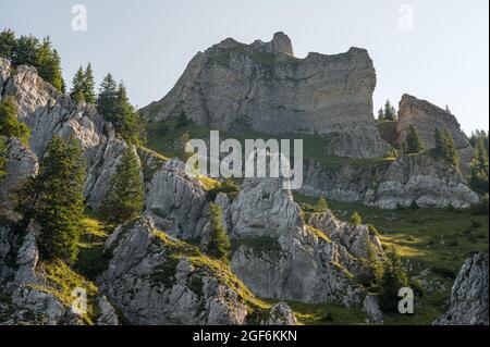 Blick auf das Trogenhorn im Emmental von Innereriz aus Stockfoto