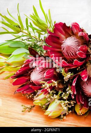 Südafrikanischer protea blüht auf einer rustikalen Oberfläche Stockfoto