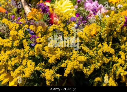 Traditionelles Bouquet aus Blumen, Kräutern und Früchten, das das Symbol des Sommers ist Stockfoto