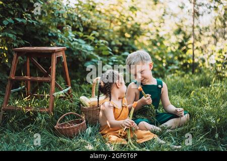 Bruder und Schwester essen im Overall Karotten neben dem Gemüskorb Stockfoto