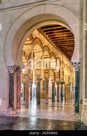 Säulen und zweistufige Bögen im Originalteil des Moscheegebäudes in der Kathedrale, Cordoba, Andalusien, Spanien Stockfoto