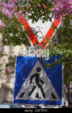 Straßenschilder in Bäumen und Blumen Stockfoto