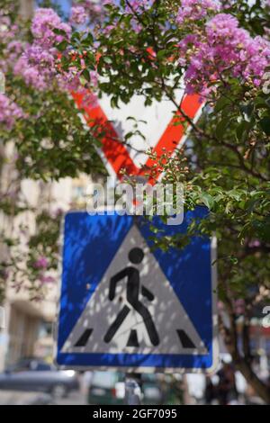 Straßenschilder in Bäumen und Blumen Stockfoto