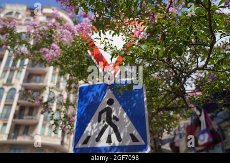 Straßenschilder in Bäumen und Blumen Stockfoto