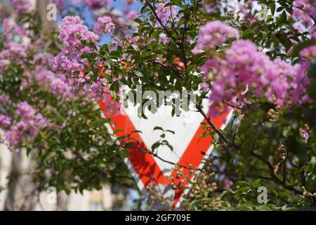 Straßenschilder in Bäumen und Blumen Stockfoto