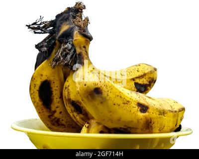 Reife gelbe Bananen Früchte, ein Haufen reifer Bananen mit dunklen Flecken auf weißem Hintergrund Stockfoto