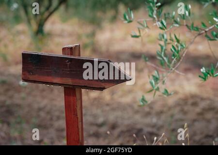 Alte verwitterte Holzschild und Pfeilschild in einem Garten Stockfoto