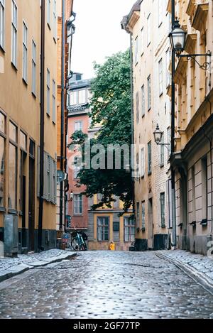 Blick auf die leere, schmale Kopfsteinpflasterstraße in Gamla Stan nach Regen ist die Altstadt eines der größten und am besten erhaltenen mittelalterlichen Stadtzentren in Euro Stockfoto