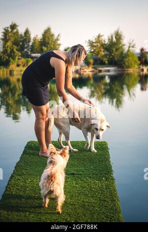 Frau, die am heißen Sommertag am Pier am See mit ihren Hunden spielt. Labrador Retriever und Cairn Terrier mit Haustierbesitzer haben gemeinsam Spaß im Freien Stockfoto