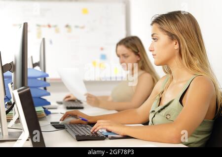 Zwei konzentrierte Mitarbeiter arbeiten im Büro an Computern Stockfoto