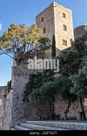 Blick auf Collioure (Cotlliure auf katalanisch) mit dem Schloss, Pyrenees-Orientales, Frankreich. Stockfoto