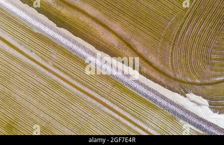 Detail eines überfluteten Reisfeldes im Mai werden die Strecken von einem Traktor verursacht, der Reissamen aussaat, Luftaufnahme, Drohnenschuss, Ebro Delta Nature Reserve Stockfoto