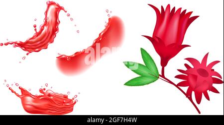 Set aus roter Hibiskusblüte und roten Flüssigkeitsspritzern. Vektor realistische Designelemente. Stock Vektor