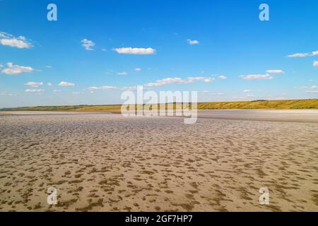 Erstaunliche Schönheit des getrockneten salzigen Sees von hellbeige Farbe umgeben von grünen und gelben Feldern. Luftaufnahme eines hellen Salzspeichers im Sommer. Aufnahme. Stockfoto