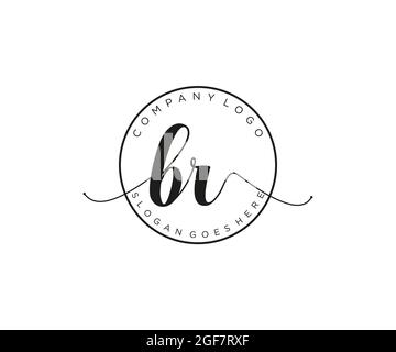 BR feminine Logo Schönheit Monogramm und elegantes Logo-Design, Handschrift Logo der ursprünglichen Signatur, Hochzeit, Mode, Blumen und botanischen mit kreativen Stock Vektor