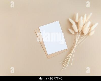Weiße leere Karte für Text und Umschlag neben einem Bouquet von trockenem Lagurus auf beigem Hintergrund. Minimales Konzept für Nachricht, Nachricht oder Einladung in Einfügen Stockfoto