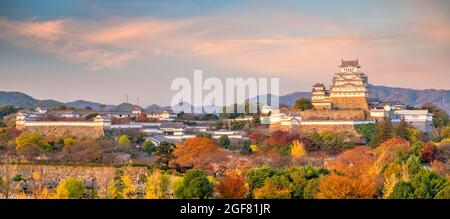 Himeji Castle im Herbst bei Sonnenuntergang in Himeji, Japan Stockfoto