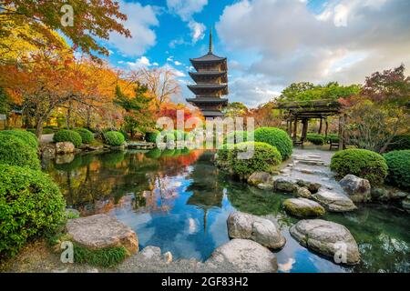 Toji-Tempel und Holz-Pagode im Herbst Kyoto, Japan Sonnenuntergang Stockfoto
