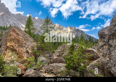 Felsenlabyrinth unter den Latemarbergen, Dolomiten, Südtirol Stockfoto