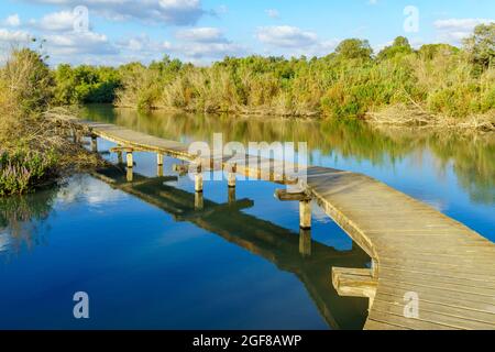 Blick auf einen erhöhten Pfad über einem Teich im Feuchtgebiet von en Afek, Nordisraelisch Stockfoto