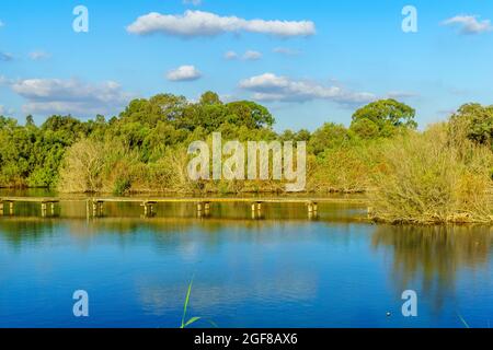 Blick auf einen erhöhten Pfad über einem Teich im Feuchtgebiet von en Afek, Nordisraelisch Stockfoto