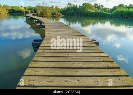 Blick auf einen erhöhten Pfad über einem Teich im Feuchtgebiet von en Afek, Nordisraelisch Stockfoto