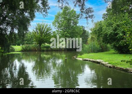 Der Wertwiesen Park in Heilbronn, Deutschland, Europa. Stockfoto