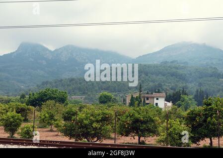 Spanien, Mallorca, Soller, 10. Mai 2018. Schöne Aussicht auf altes Haus und Berg mit Orangenwäldern in Soller Stockfoto