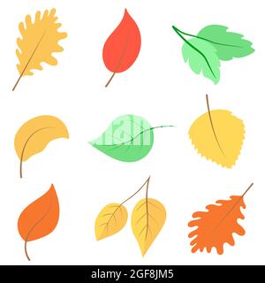 Satz von Herbstblättern Vektorgrafik. Sammlung von handgezeichneten Laub in hellen Farben. Herbstblätter Dekoration für Banner, Karten und Hintergründe Stock Vektor