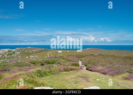 Der Blick von der Nähe zum King Charles's Castle, Blick nach Norden in Richtung Gimble Point und Gun Hill, Tresco, Isles of Scilly Stockfoto