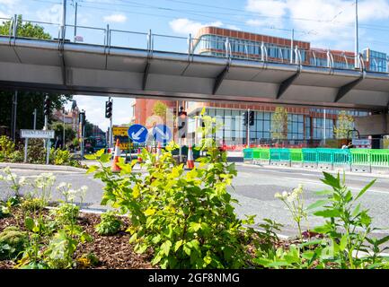 Neubepflanzung rund um den Broadmarsh Car Park und den College City Hub in Nottingham City, Nottinghamshire, England Stockfoto