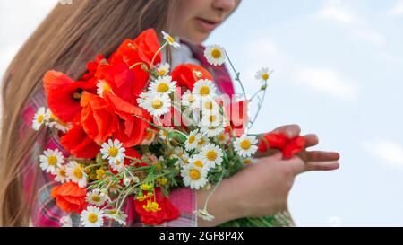 Das Mädchen steht vor dem Hintergrund wilder Blumen und hält einen Strauß Mohnblumen und Gänseblümchen in den Händen. Ein Mädchen auf dem Feld sammelte einen Strauß wilder Blumen. Stockfoto