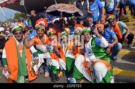 Cricket-Fans von Indien mit der Nationalflagge von Indien One Day International - ODI - England / Indien 2014 Stockfoto