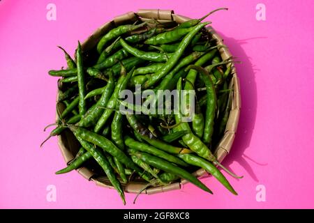 Frisch zupfte, scharfe, dunkelgrüne Chilischoten im Korb. Bio-Paprika ernten im Weidenkorb Stockfoto