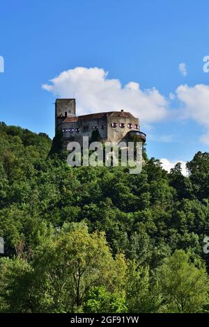 Festung Greifenstein über der Donau in Österreich, bei Wien, vertikal Stockfoto