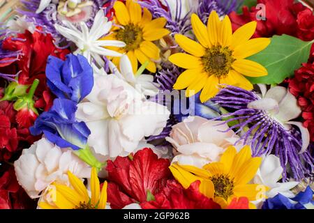 Verschiedene bunte Blumen - atistische Blumenbild. Stockfoto