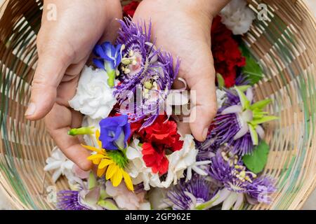 Ältere Weibchen halten verschiedene bunte Blumen in ihren Händen - atistisches Blumenbild. Stockfoto