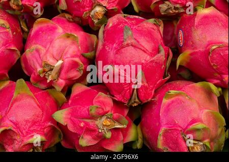Pitahaya oder Drachenfrüchte, Gattung Hylocereus, werden in New Market Area, Kalkutta, Westbengalen, Indien, verkauft. Stockfoto