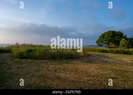 Eine Strandwiese im goldenen Sonnenuntergang. Bild von der Ostseeinsel, Oland Stockfoto