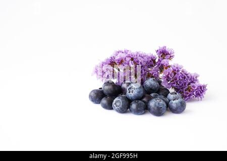 Heidelbeeren und lila trockene Blüten auf weißem Hintergrund. Zutat Konzept oder Sommer Hintergrund Stockfoto