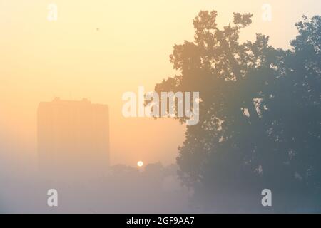 Schönes Bild des Sonnenaufgangs am Kalkutta maidan in einem nebligen Wintermorgen. Sonnenaufgang am Horizont mit Stadtkrappern und einem großen Baum im Vordergrund. Stockfoto