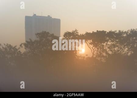 Schönes Bild vom Sonnenaufgang auf dem Kalkutta maidan in einem nebligen Wintermorgen. Sonnenaufgang am Horizont mit Stadtkrappern und einem großen Baum im Vordergrund. Stockfoto