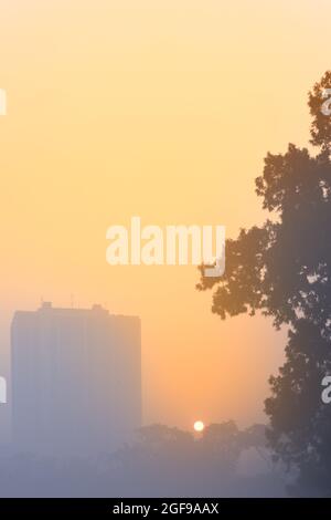 Schönes Bild des Sonnenaufgangs am Kalkutta maidan in einem nebligen Wintermorgen. Sonnenaufgang am Horizont mit Stadtkrappern und einem großen Baum im Vordergrund. Stockfoto