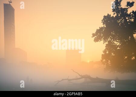 Schönes Bild des Sonnenaufgangs am Kalkutta maidan in einem nebligen Wintermorgen. Sonnenaufgänge am Horizont mit Stadtkrappern. Ein großer Baum und ein gefallener Baumstamm Stockfoto