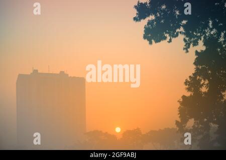 Schönes Bild vom Sonnenaufgang auf dem Kalkutta maidan in einem nebligen Wintermorgen. Sonnenaufgang am Horizont mit Stadtkrappern und einem großen Baum im Vordergrund. Stockfoto